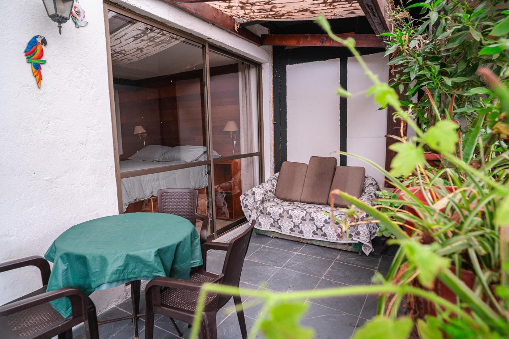 Cabanas El Bosque Maitencillo  Exteriör bild